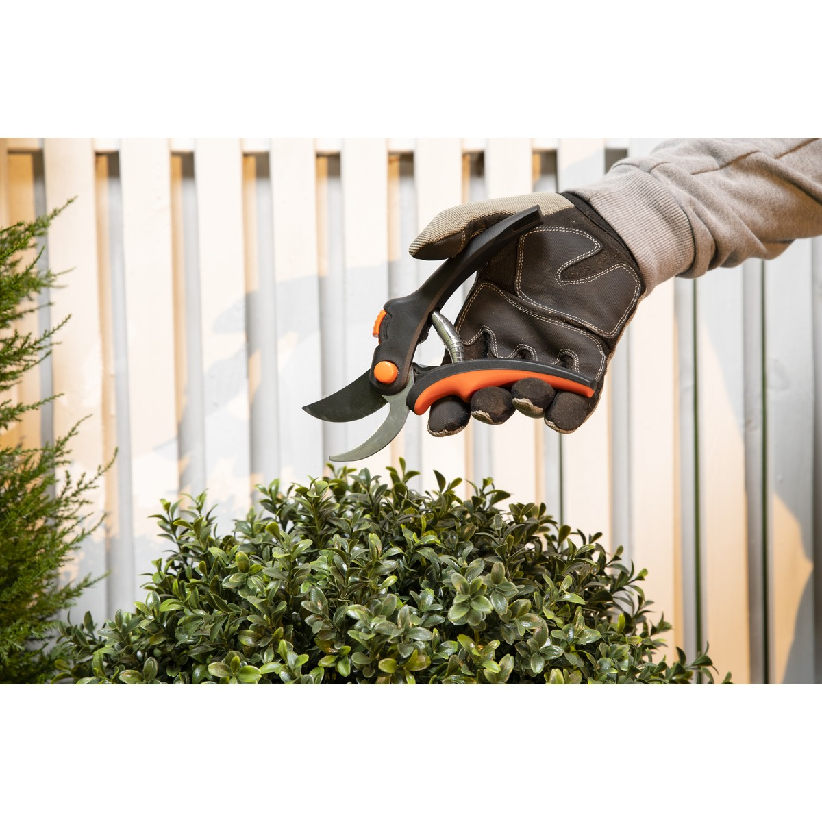 BLACK+DECKER Snoeischaar - maximondo