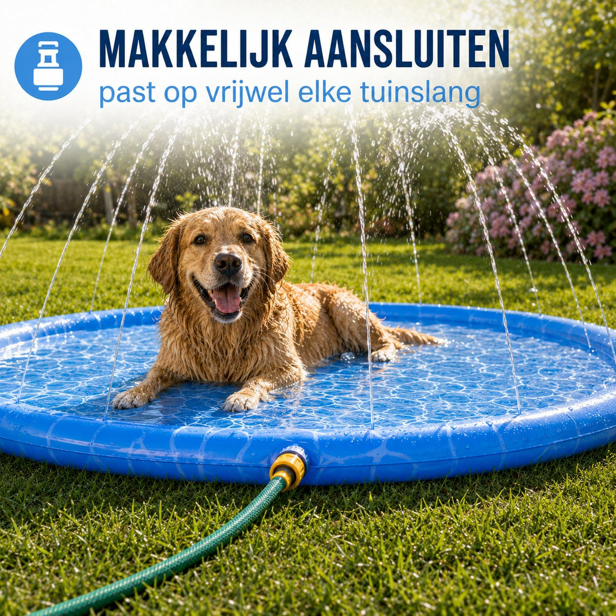 maxxpro Waterspeelmat Hond Ø100 CM - maximondo