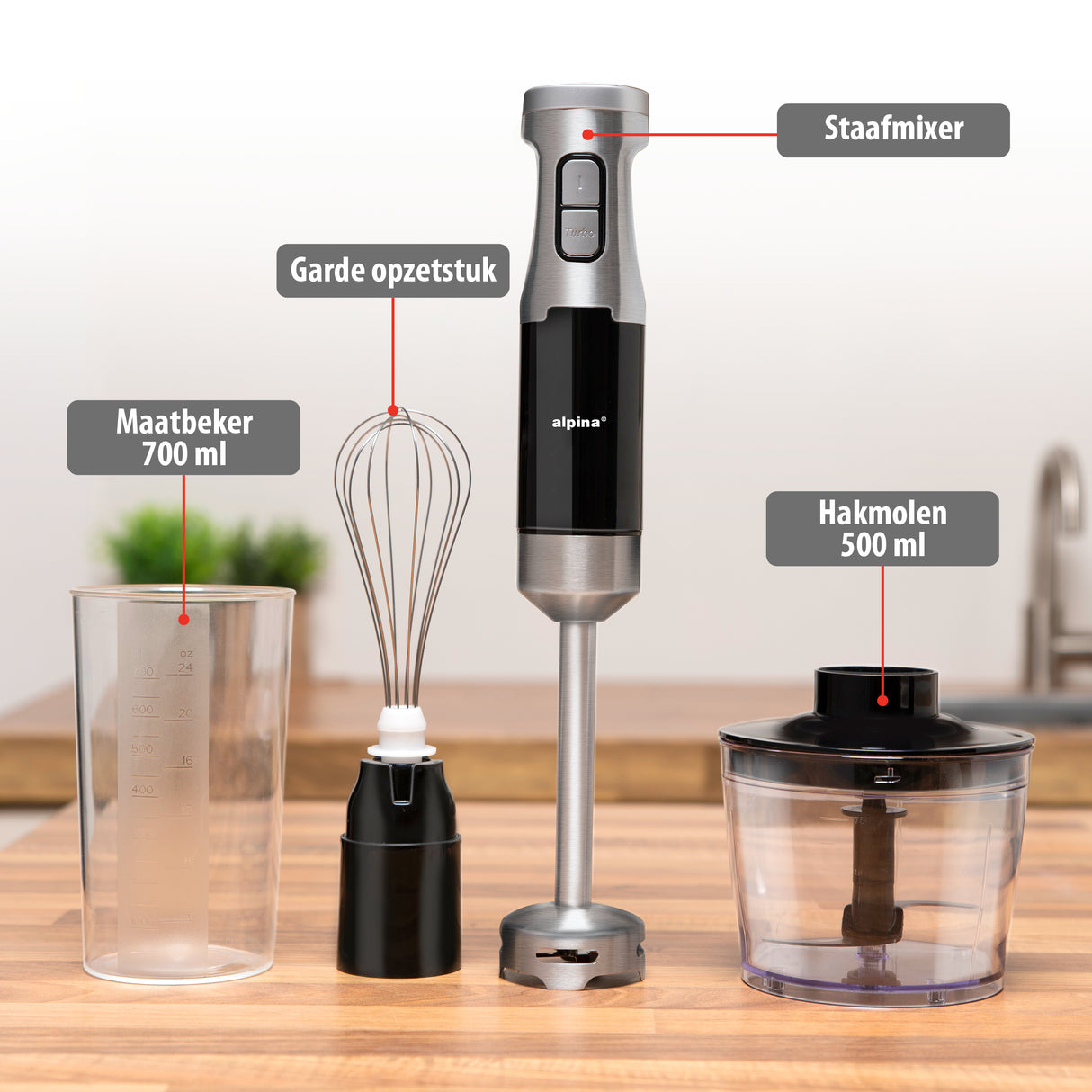 alpina Staafmixer Set 1000W - maximondo
