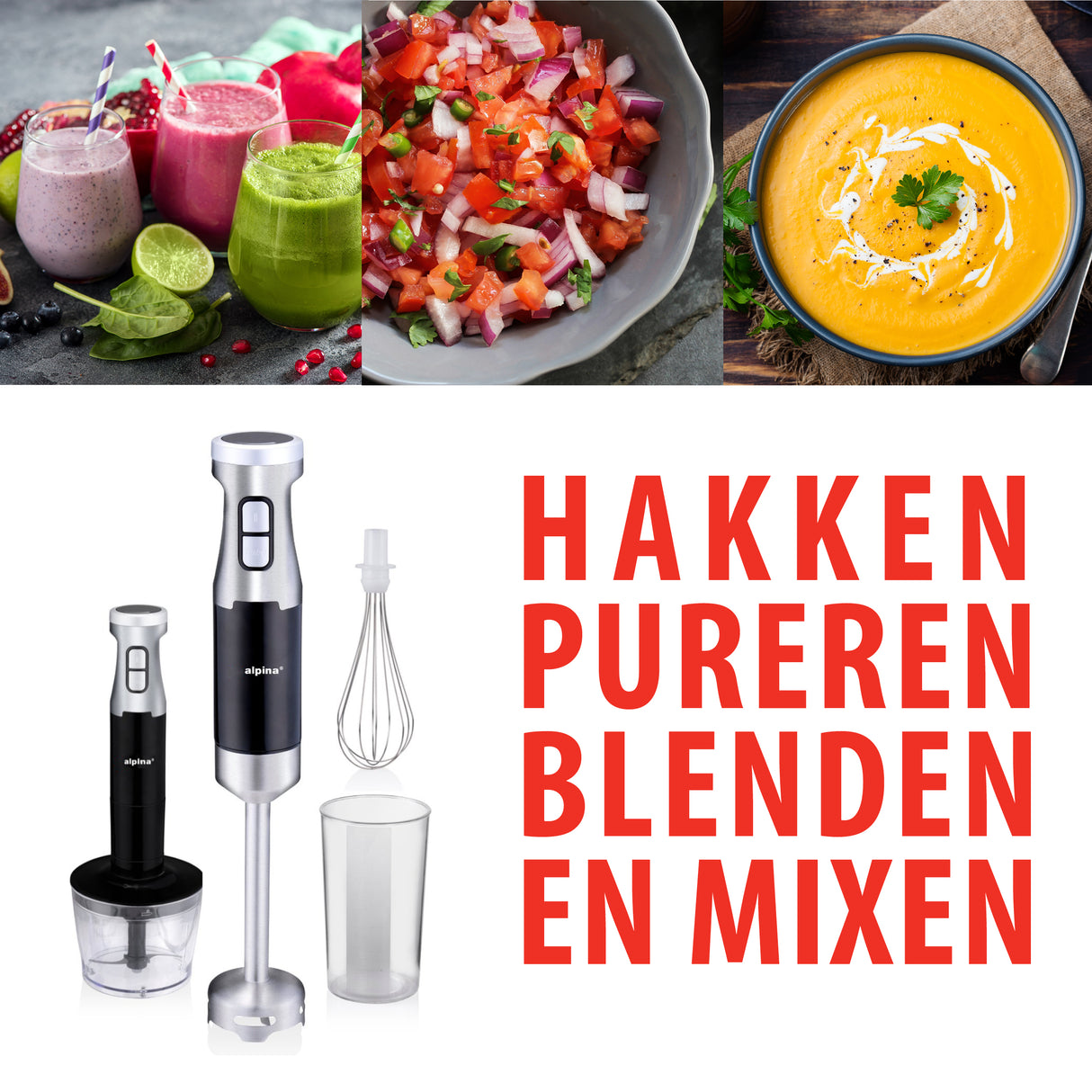 alpina Staafmixer Set 1000W - maximondo
