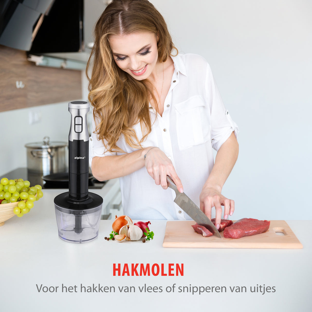 alpina Staafmixer Set 1000W - maximondo