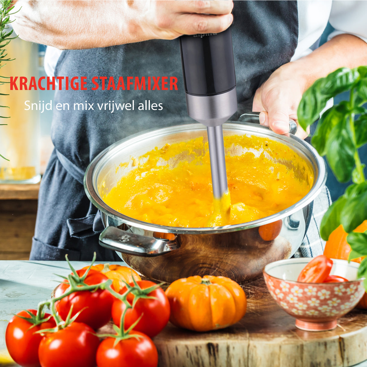 alpina Staafmixer Set 1000W - maximondo