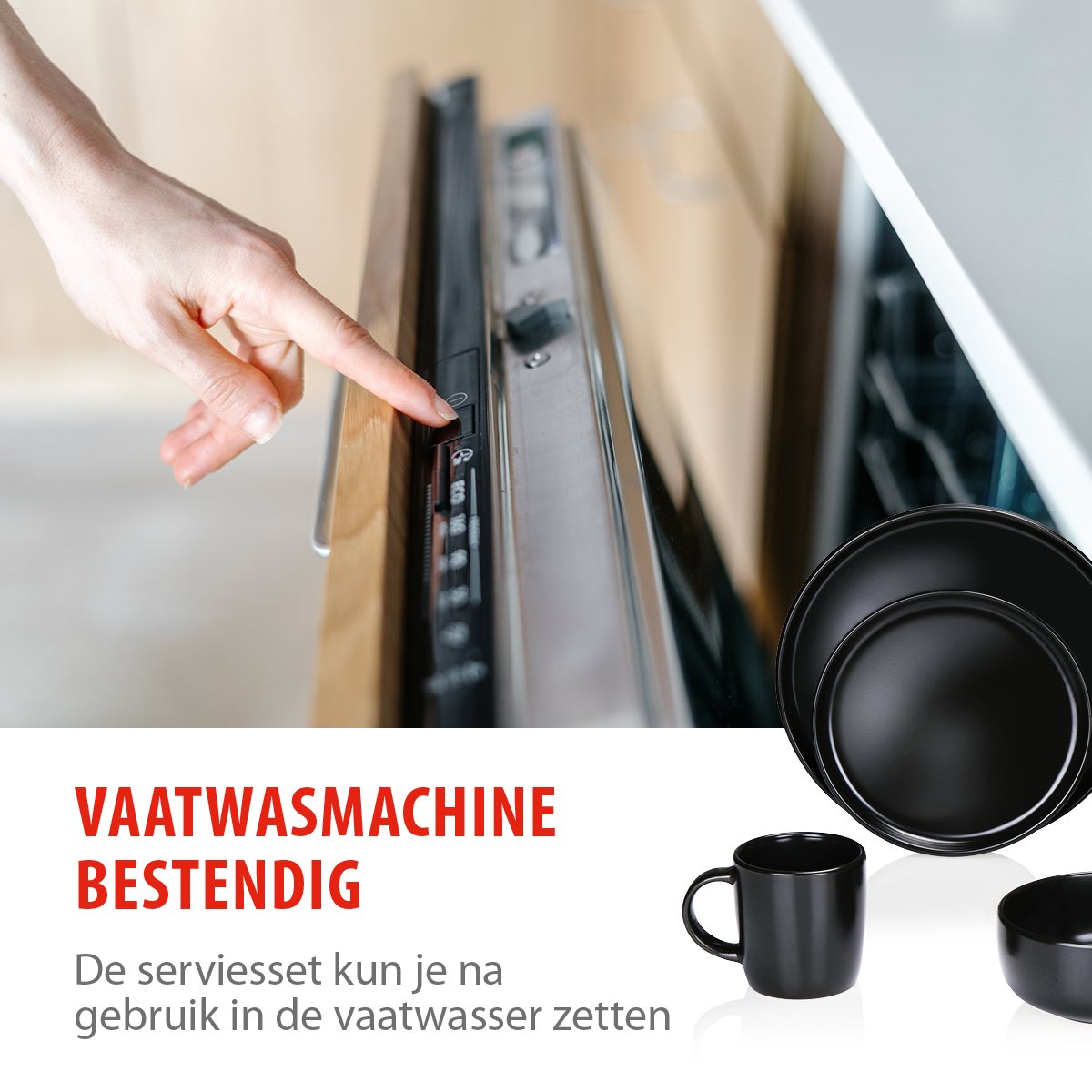 alpina Serviesset 4 Persoons - Aardewerk Servies 16-Delig