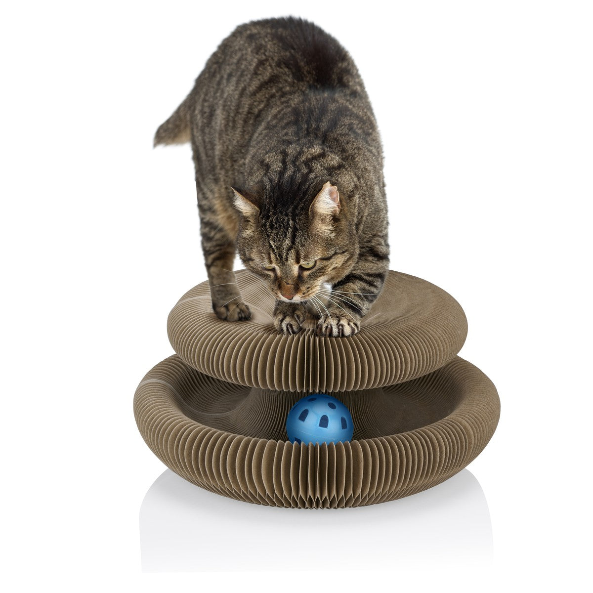 maxxpro Kattenspeeltje Krabkarton - maximondo