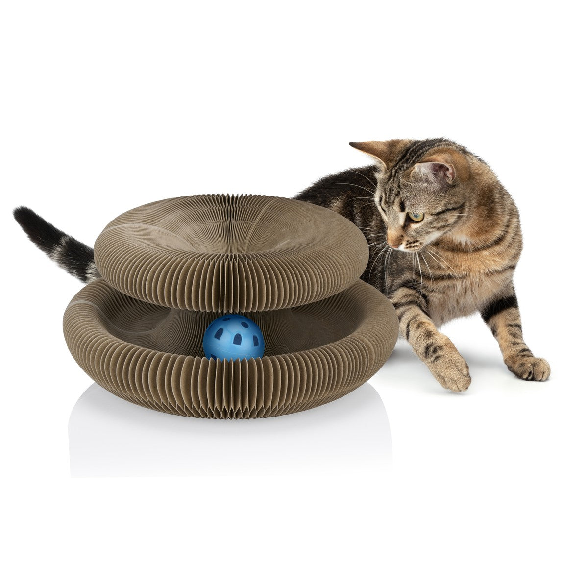 maxxpro Kattenspeeltje Krabkarton - maximondo