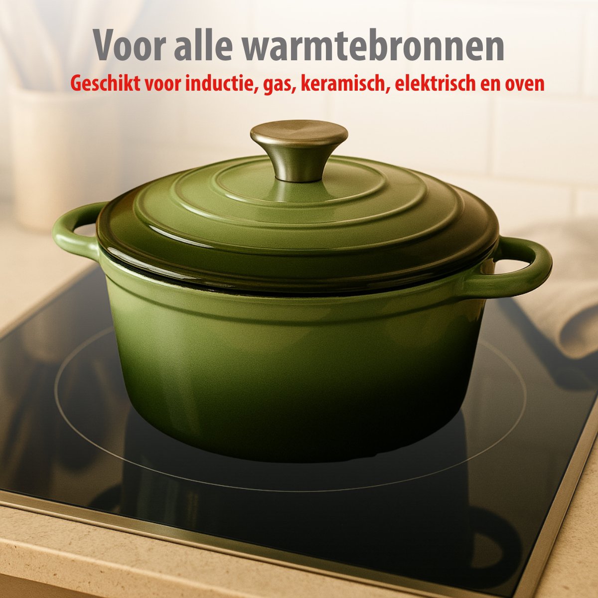 alpina Braadpan – Braadpan Inductie met Deksel 3,8 L Ø 24 cm - maximondo