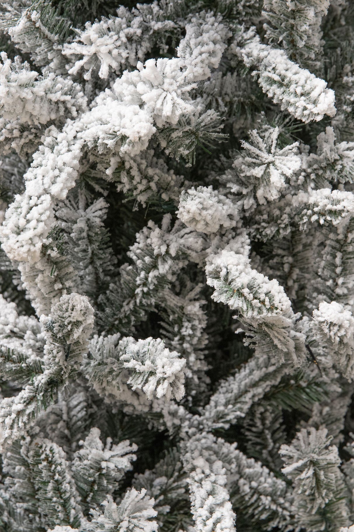 Black Box Trees Snowdon kunskerstboom frosted - H155xØ102cm - maximondo