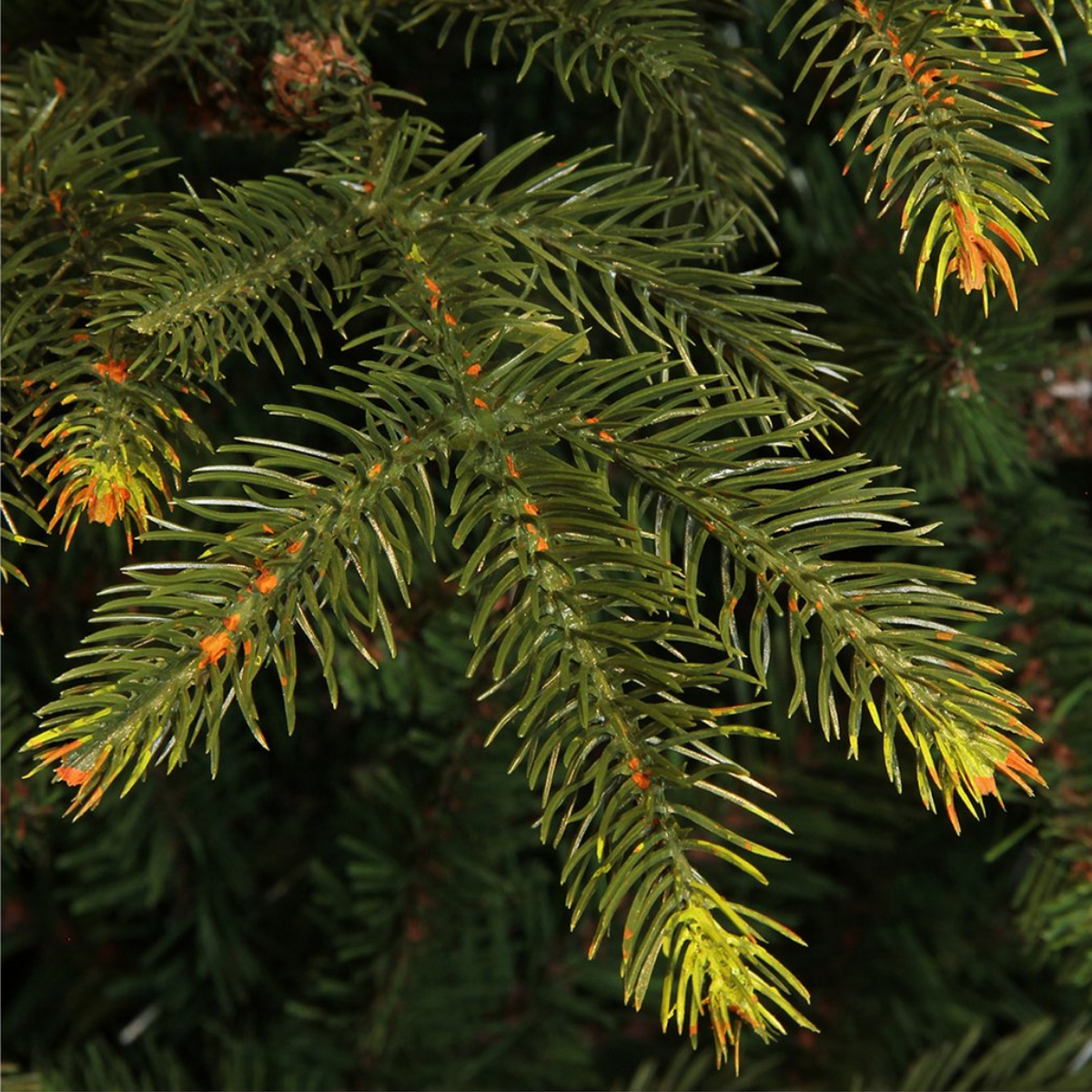 Top Trees Vanocuver kerstboom groen TIPS 1298 - h155xd109cm - maximondo