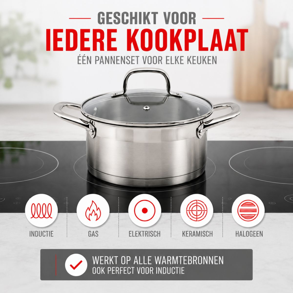 alpina Inductie Pannenset 4‑delig RVS met Glazen Deksel - maximondo