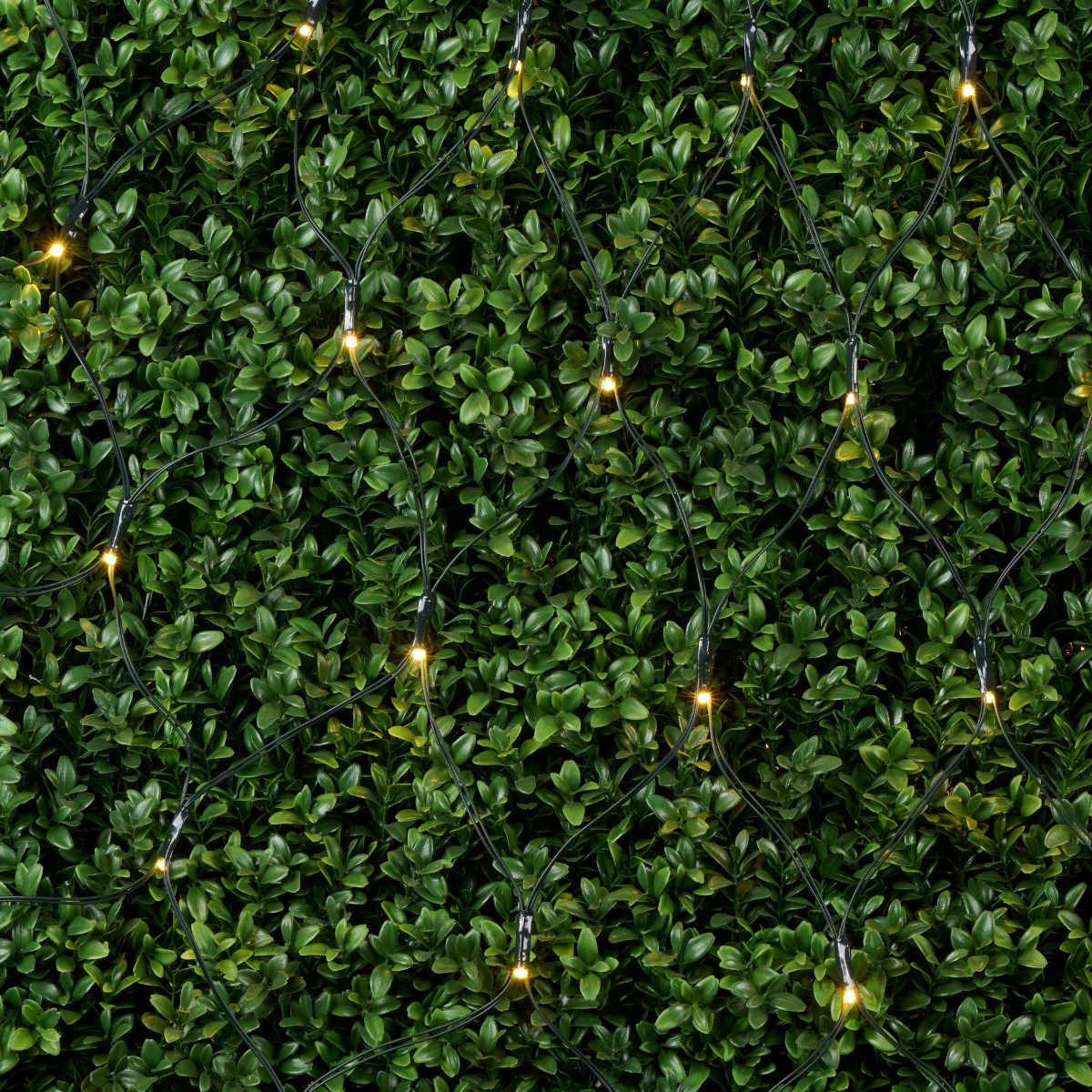 Arti Casa Kerst Netverlichting 6,5m 160 LED - maximondo