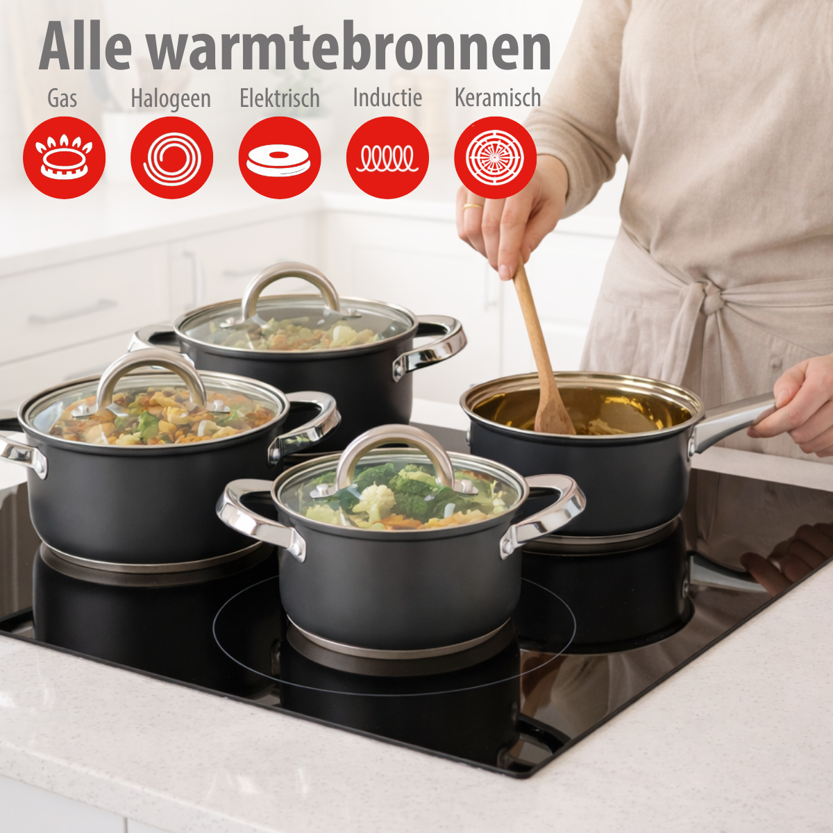 alpina Inductie Pannenset 7‑delig RVS met Glazen Deksel - maximondo