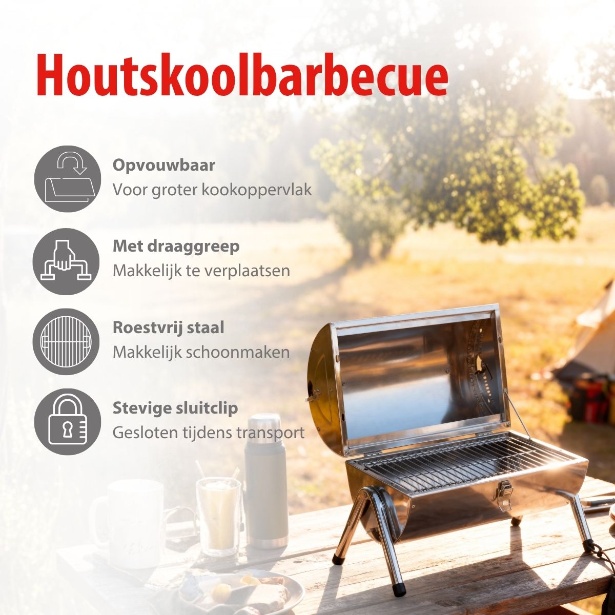 alpina Houtskool BBQ - Draagbare BBQ met Handgreep