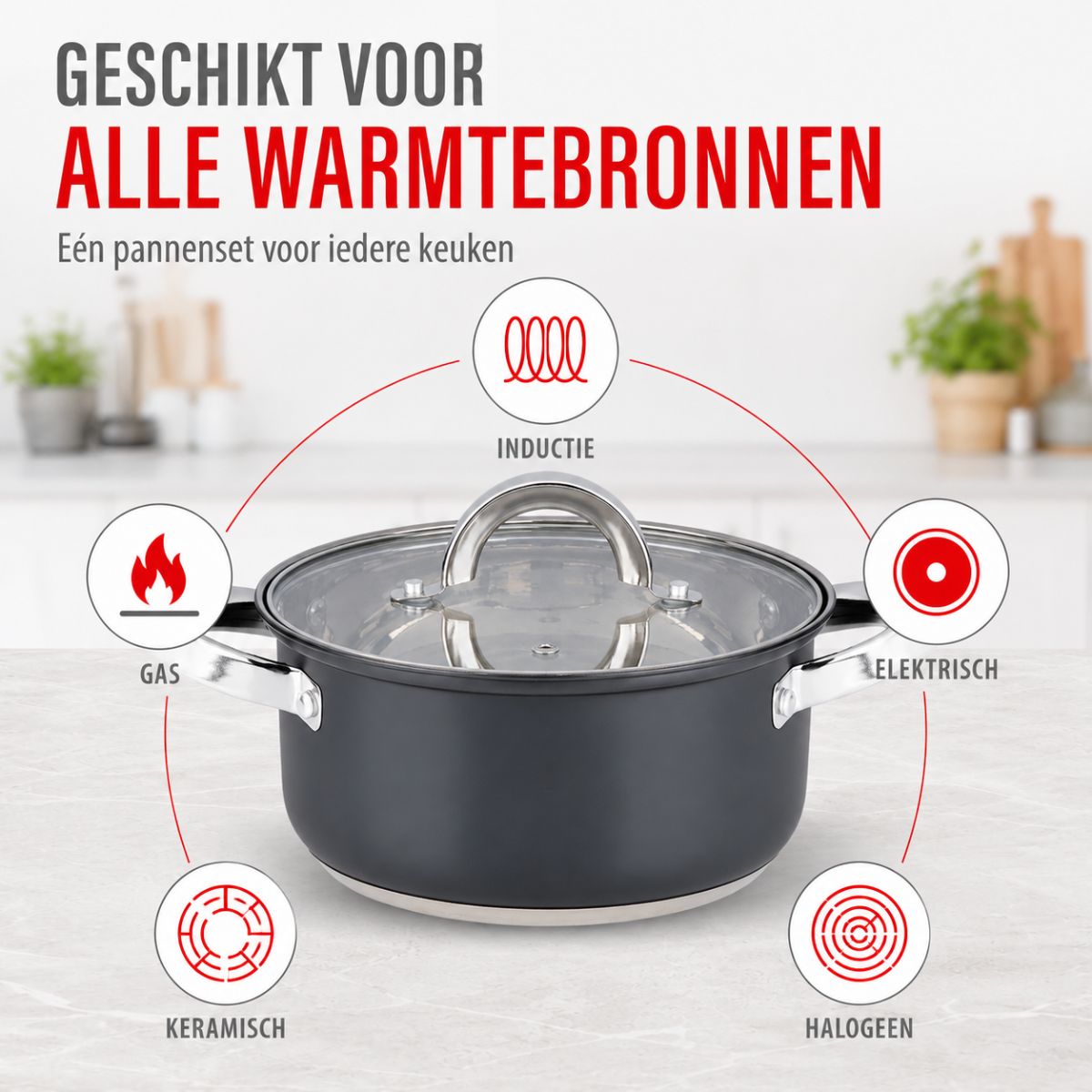 alpina Inductie Pannenset 7‑delig RVS met Glazen Deksel