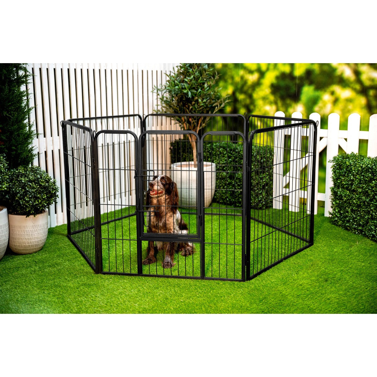 maxxpro Honden En Kattenbox 210 X 80 Cm - maximondo