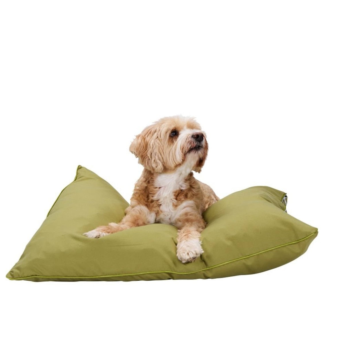 maxxpro Hondenmand Groen 60x80cm