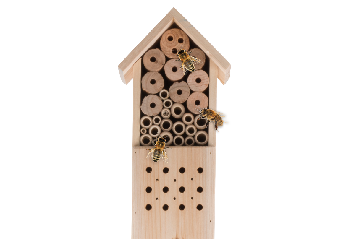 Lifetime Garden insectenhotel op paal - maximondo