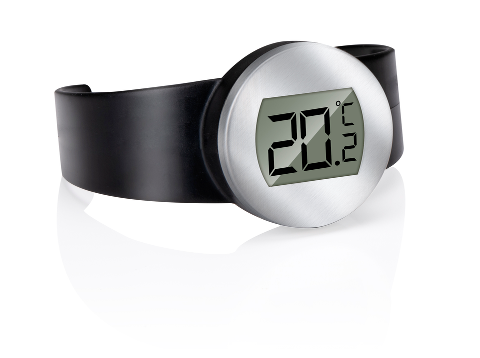 alpina Wijnthermometer RVS - maximondo