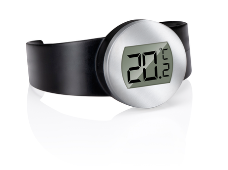 alpina Wijnthermometer RVS - maximondo