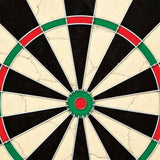 Masterdarts Dartbordset Sisalbord - maximondo