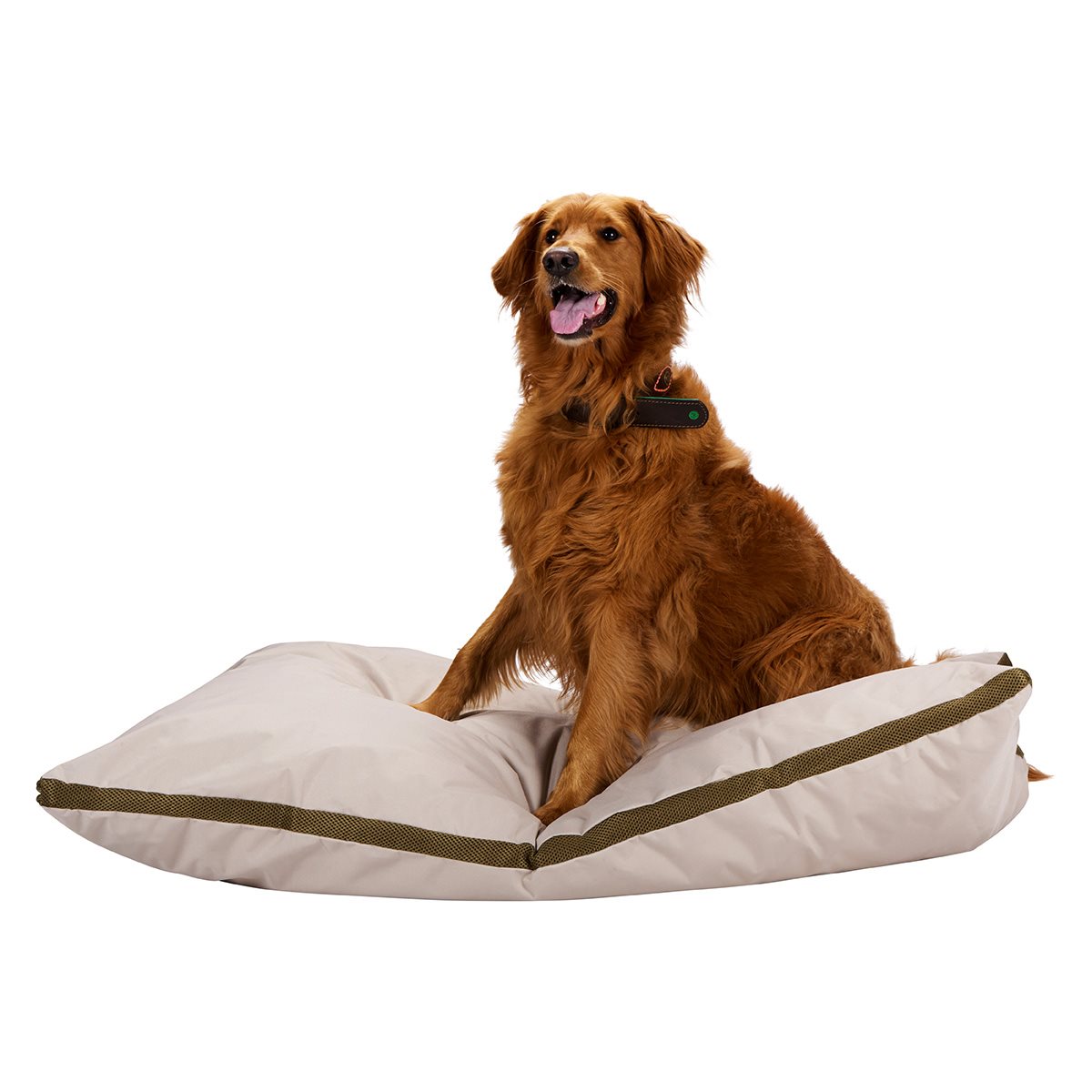 maxxpro Hondenbed M - Hondenkussen 70x100 cm - Beige - maximondo