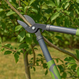 Kinzo Telescopische Snoeischaar Tuin - maximondo