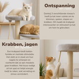 maxxpro Krabpaal voor Katten 62 CM - maximondo