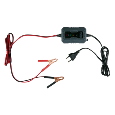 Dunlop Druppellader 6/12V 1A - maximondo