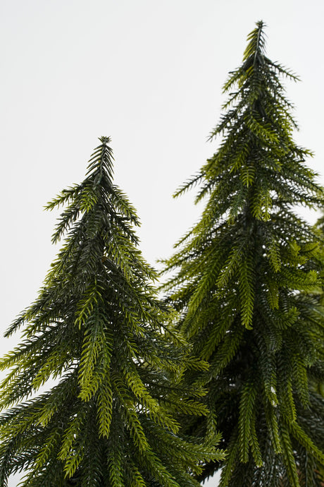 House of Seasons Decoratie Boomstam met Kunstkerstbomen - maximondo