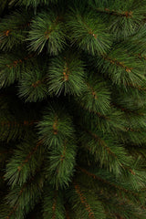 Black Box Trees Sotka Pilar kerstboom groen TIPS 363 - h260xd69cm - maximondo
