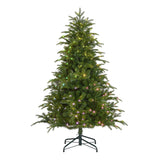 Black Box Trees Smart lighting Nestow kerstboom led groen RGB 180L TIPS 780 - h155xd107cm - maximondo