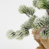 House of Seasons Kerstboom met burlap groen frosted TIPS 101 - h45xd23cm - maximondo
