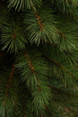 Black Box Trees Sotka Pilar kerstboom groen TIPS 363 - h260xd69cm - maximondo