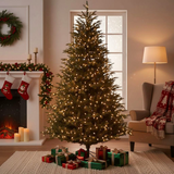 Top Trees Vanocuver kerstboom groen TIPS 1298 - h155xd109cm - maximondo