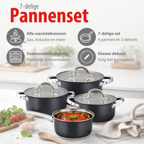 alpina Inductie Pannenset 7‑delig RVS met Glazen Deksel - maximondo