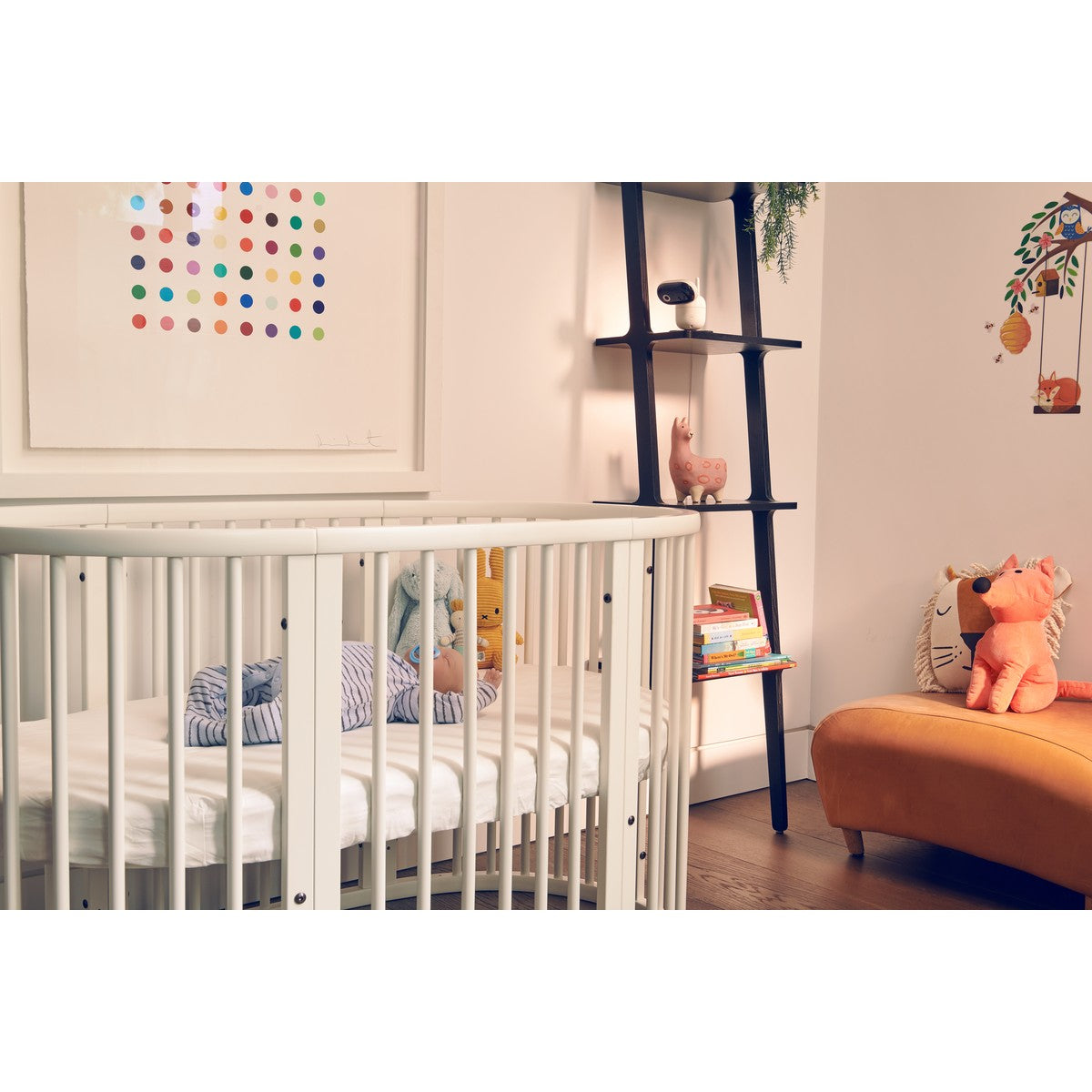 Motorola Nursery PIP1010 CONNECT Babyfoon met Camera