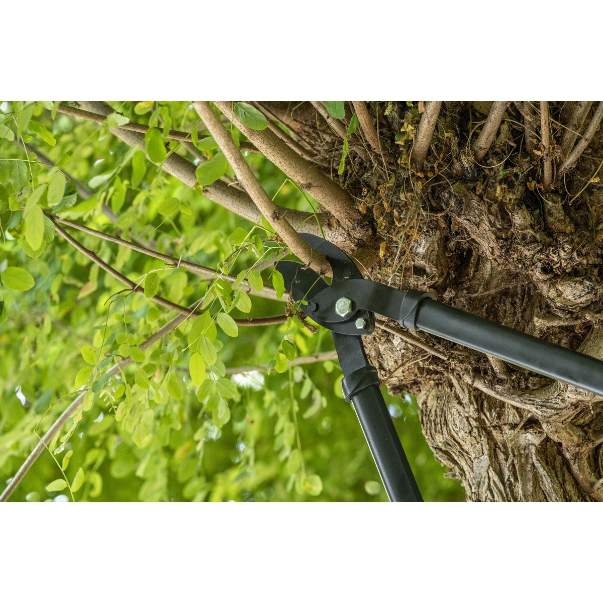 BLACK+DECKER Takkenschaar 72CM - maximondo