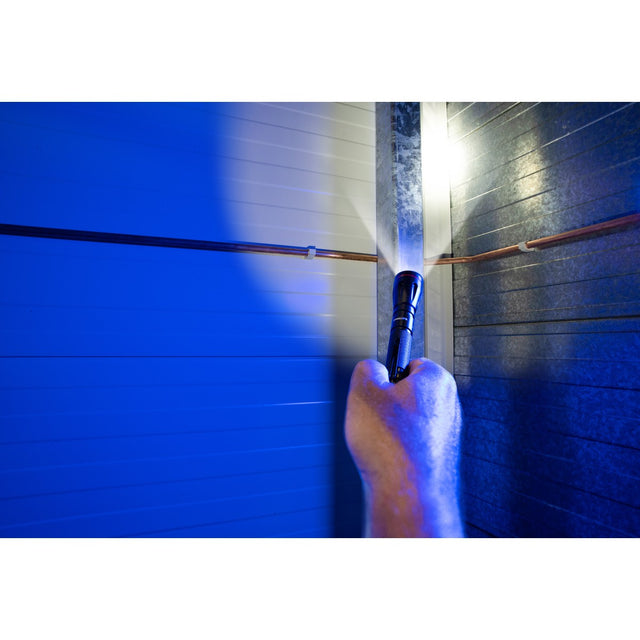Philips Zaklamp LED - maximondo