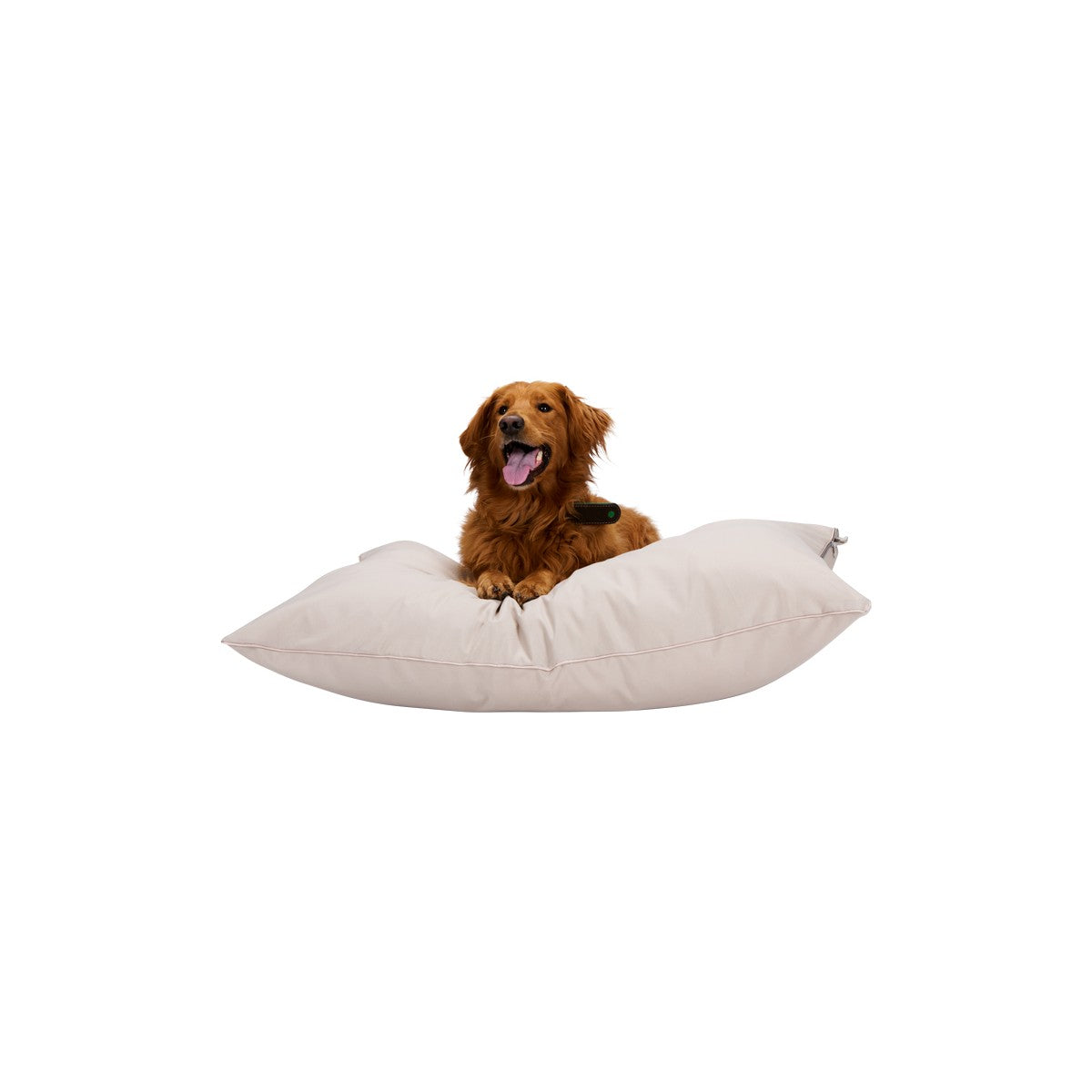 maxxpro Hondenbed Beige - maximondo