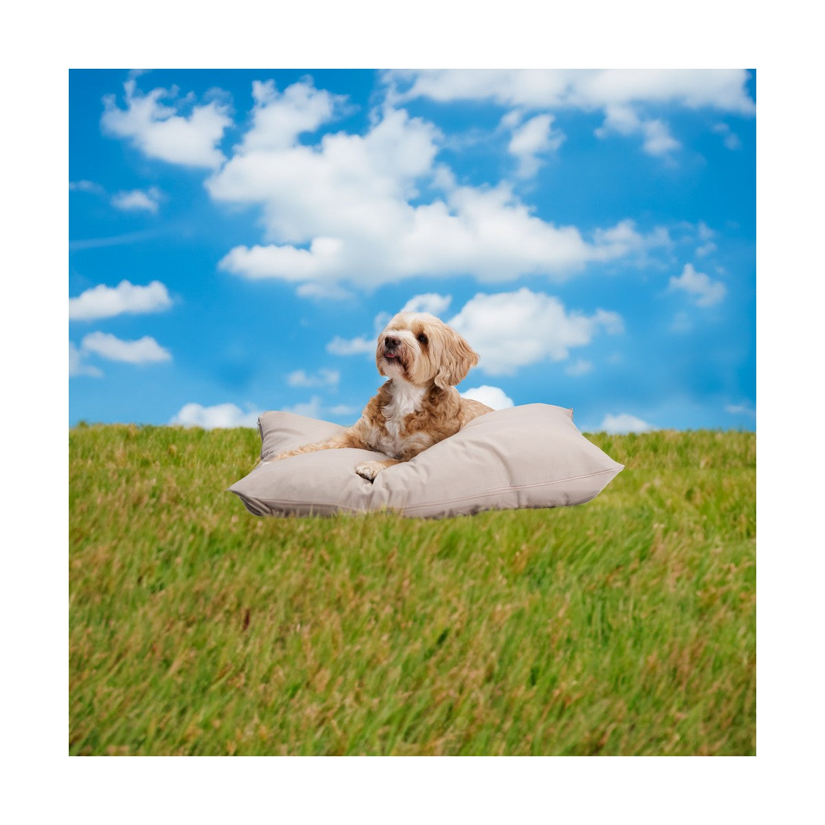 maxxpro Hondenkussen S Beige - maximondo