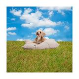 maxxpro Hondenkussen S Beige - maximondo