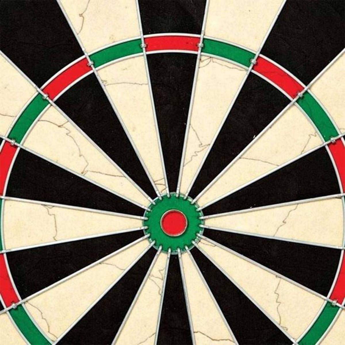 Masterdarts Dartbordset Sisalbord